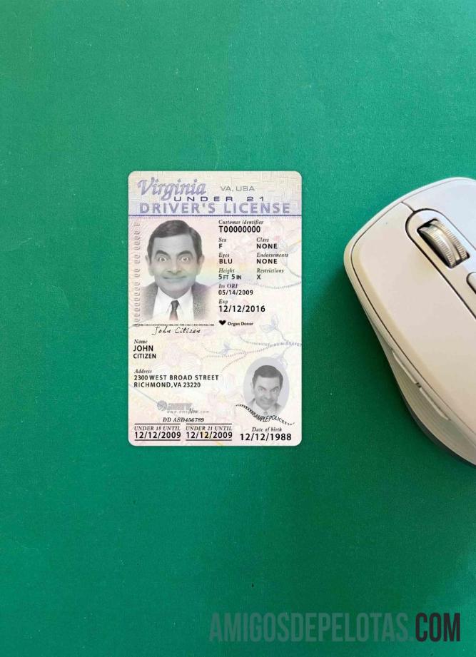 Carteira de motorista dos EUA, Virgínia, menor de 21 anos, 2009, presente fotolook frente baixar para verificação